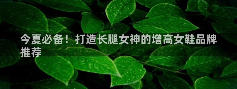 ag娱乐官网官方网站